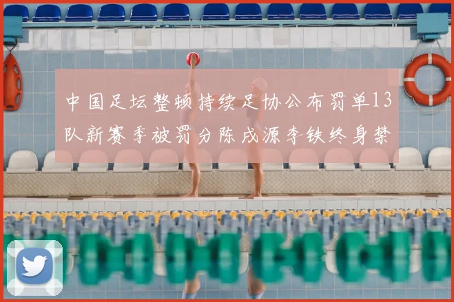 中国足坛整顿持续足协公布罚单13队新赛季被罚分陈戌源李铁终身禁足