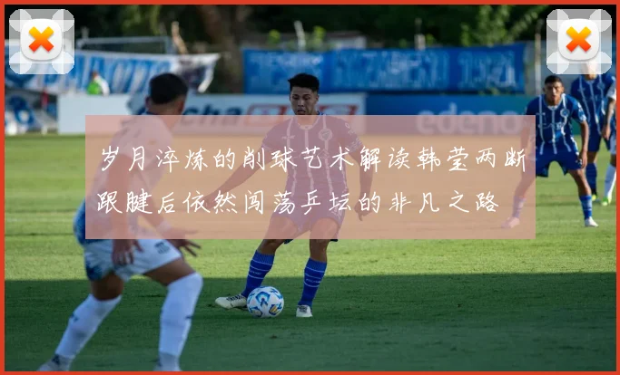 岁月淬炼的削球艺术解读韩莹两断跟腱后依然闯荡乒坛的非凡之路