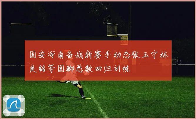国安海南备战新赛季动态张玉宁林良铭等国脚悉数回归训练